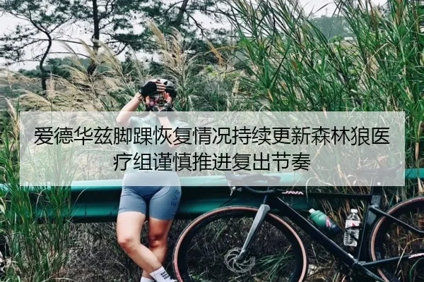 爱德华兹脚踝恢复情况持续更新森林狼医疗组谨慎推进复出节奏